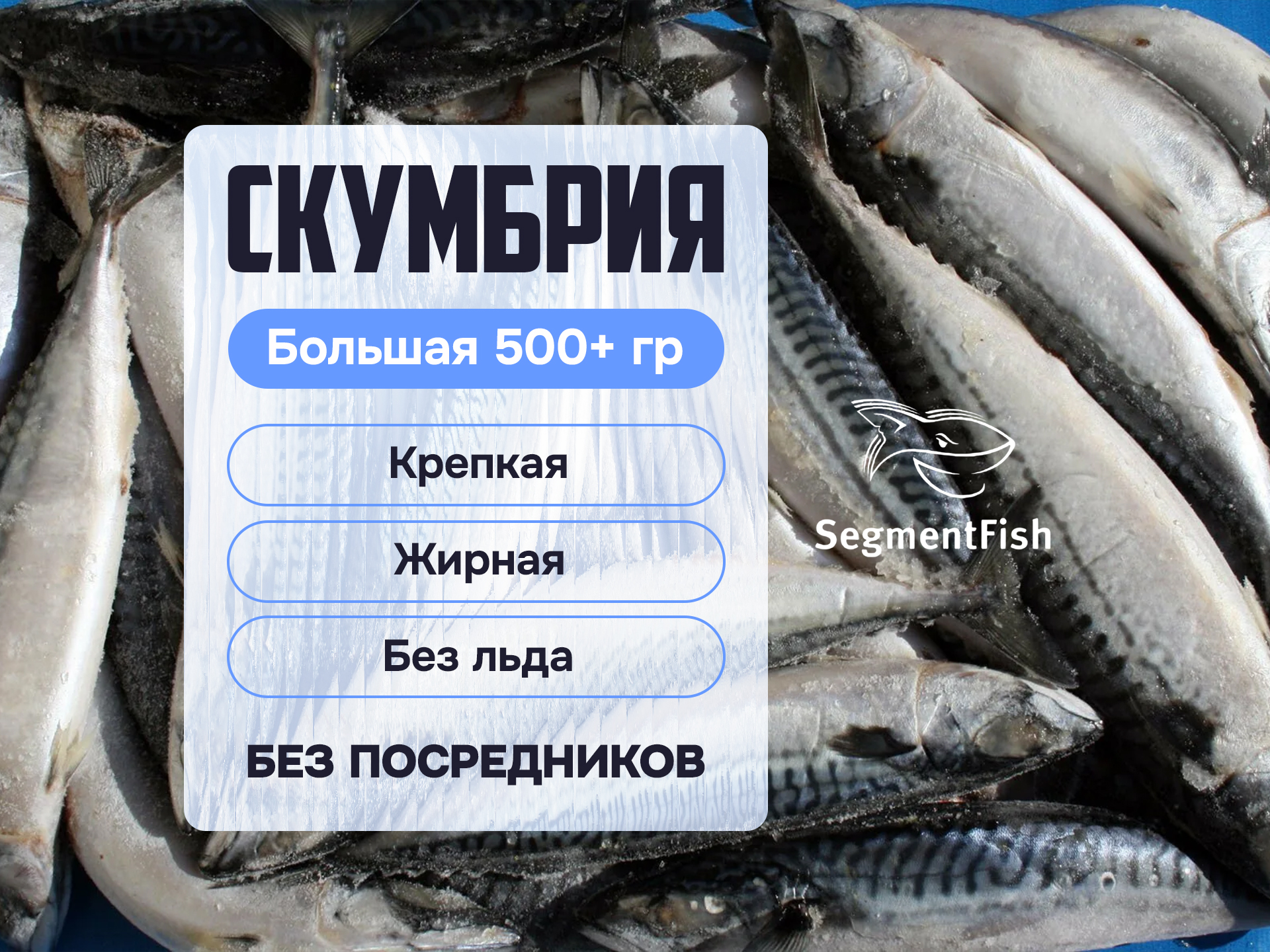 СКУМБРИЯ опт.jpg